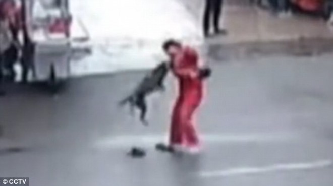 Sokkoló videó - egy megvadult kutya 2 órás ámokfutása a kínai városban!