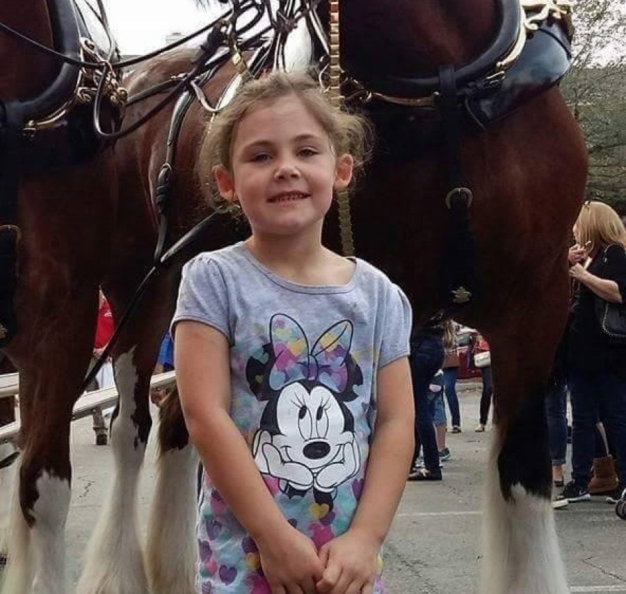 Az apa lefényképezi kislányát a ló előtt, és csak később vették észre, hogy a képen nem csak a kislány pózol!